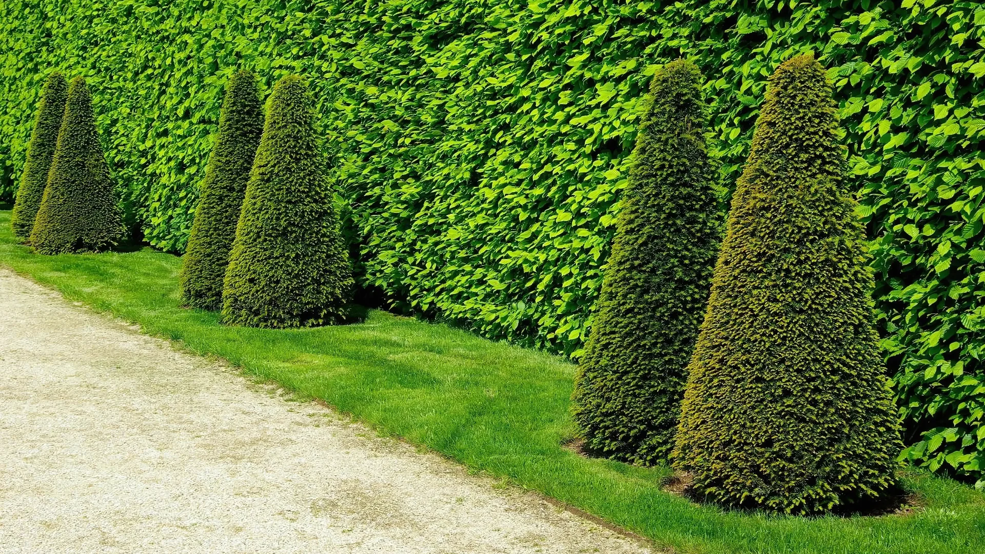 Leistungen – Klaiqi Garten- & Landschaftsbau GmbH