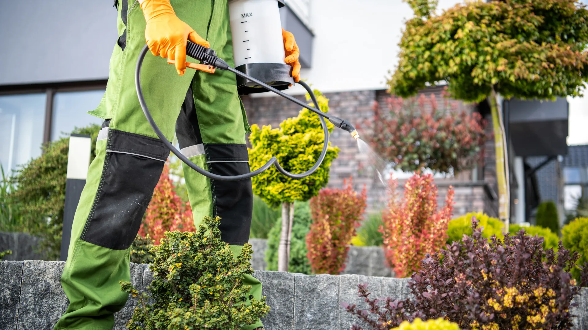 Warum uns wählen – Team bei der Arbeit